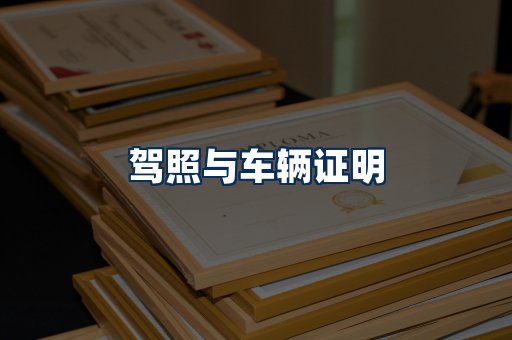 车辆证明展示